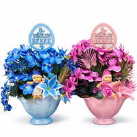 Hoşgeldin Bebek Yazılı Midye Saksılı Tanzim